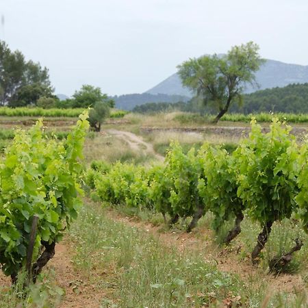 La Maison De Campagne Carcès 외부 사진
