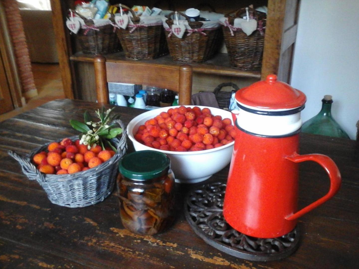 La Maison De Campagne Carcès 외부 사진